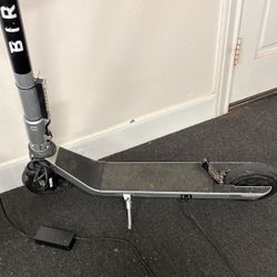Bird Electric scooter