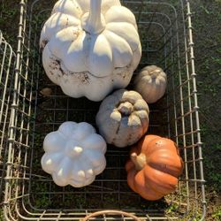 5 Ceramic Pumpkins 