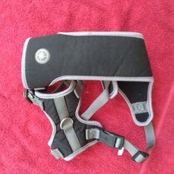 Dog Collar.... Harnesses... Double Tandem  Leash