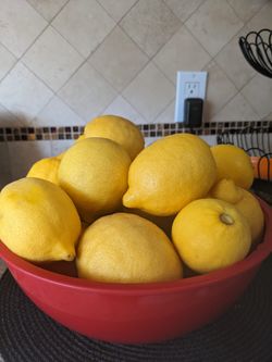 Fresh Organic Lemons (Bag Of 12 Lemons In $5)