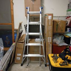 Step Ladder multi position