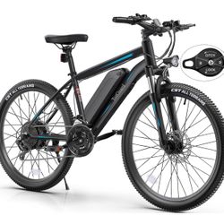 Electric Bicycle 