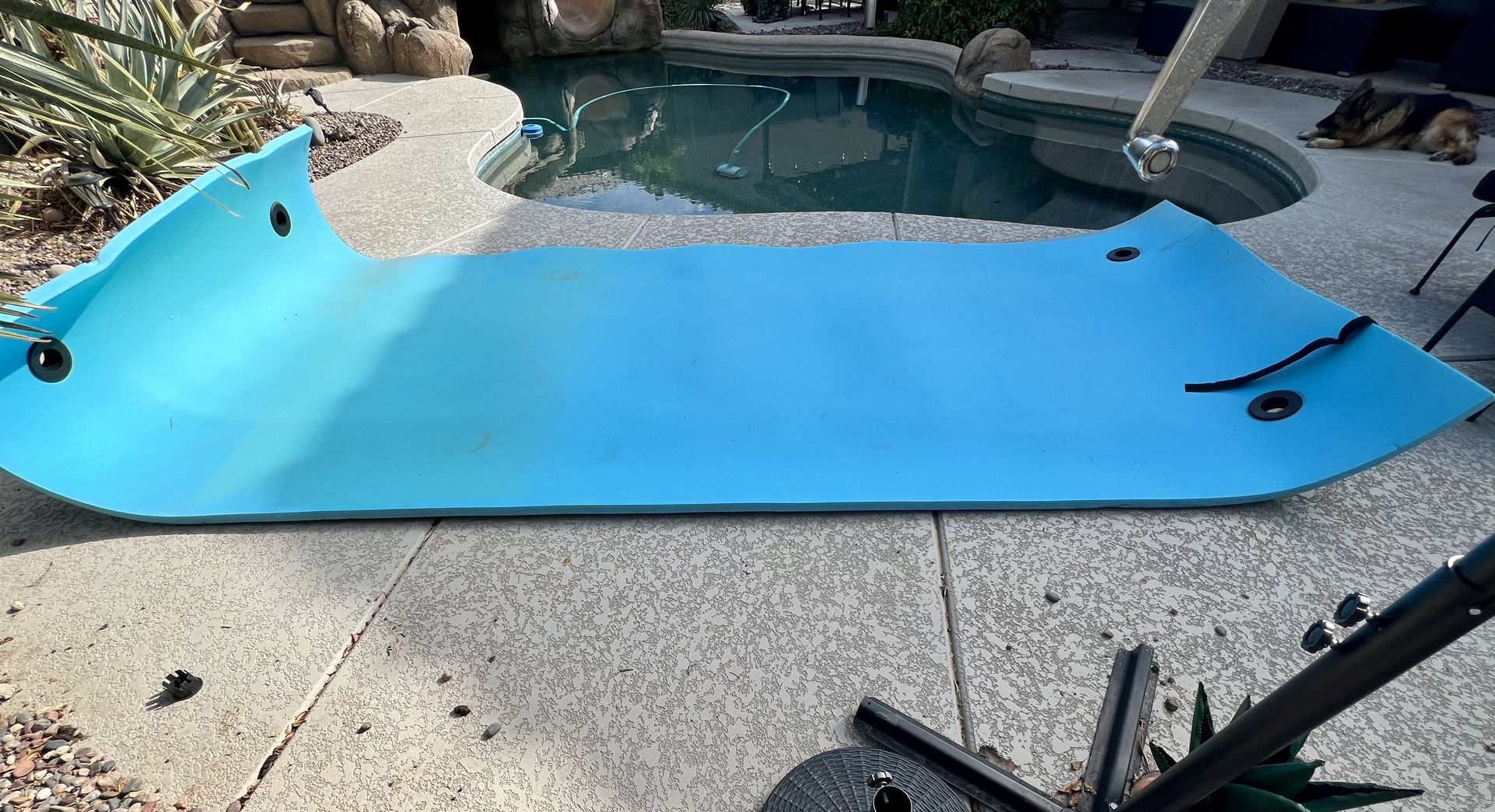 Lily pad for the lake!