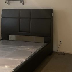 BRAYDEN STUDIO MUSIC BED  