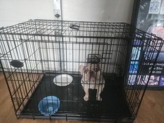 Dog Cage $30 Good Condition 