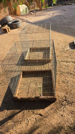 Jaulas/ Cages