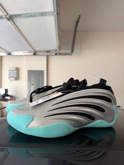 HARDEN VOLUME 9 Size 9.5