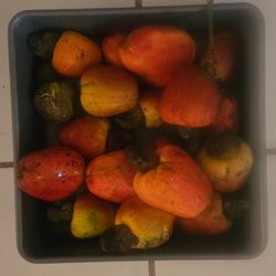 Cashew Fruit $2 Each 