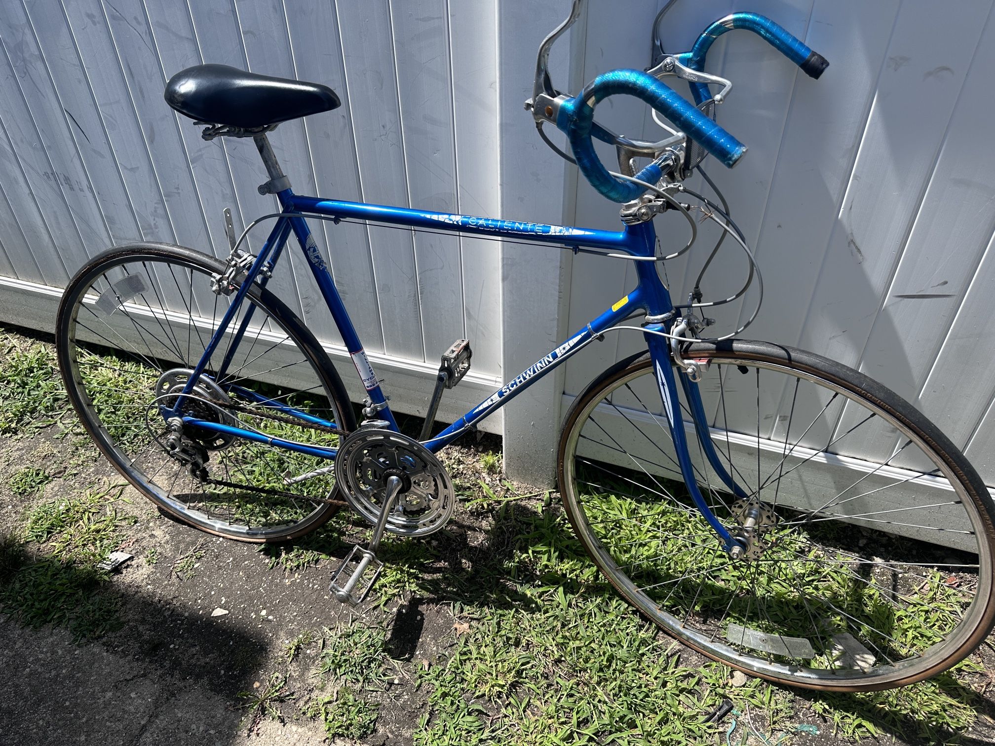 schwinn Caliente 10 speed bicycle 22” Frame