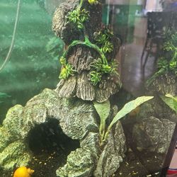 Fish Tank Decor 