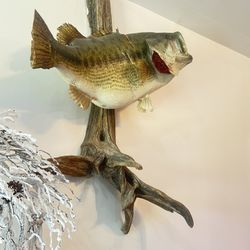 Fish Wall Decoration Pescado De Decorasion En La Pared $120