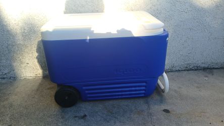 Igloo Wheelie Cool 38qt
Rolling Cooler