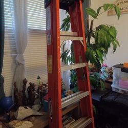 Werner 6' Foot A Frame ladder