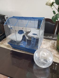 House, hamster house