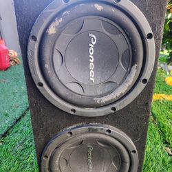 Pioneer 12 Speaker 