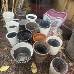 Ceramic and plastic plant pots
