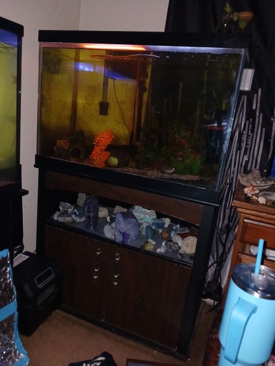Fish Tank Set