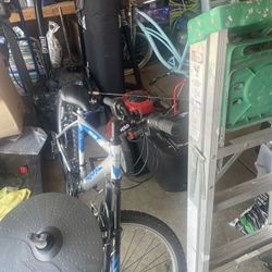 2 Bikes Mount Bike/ Cruiser Bike