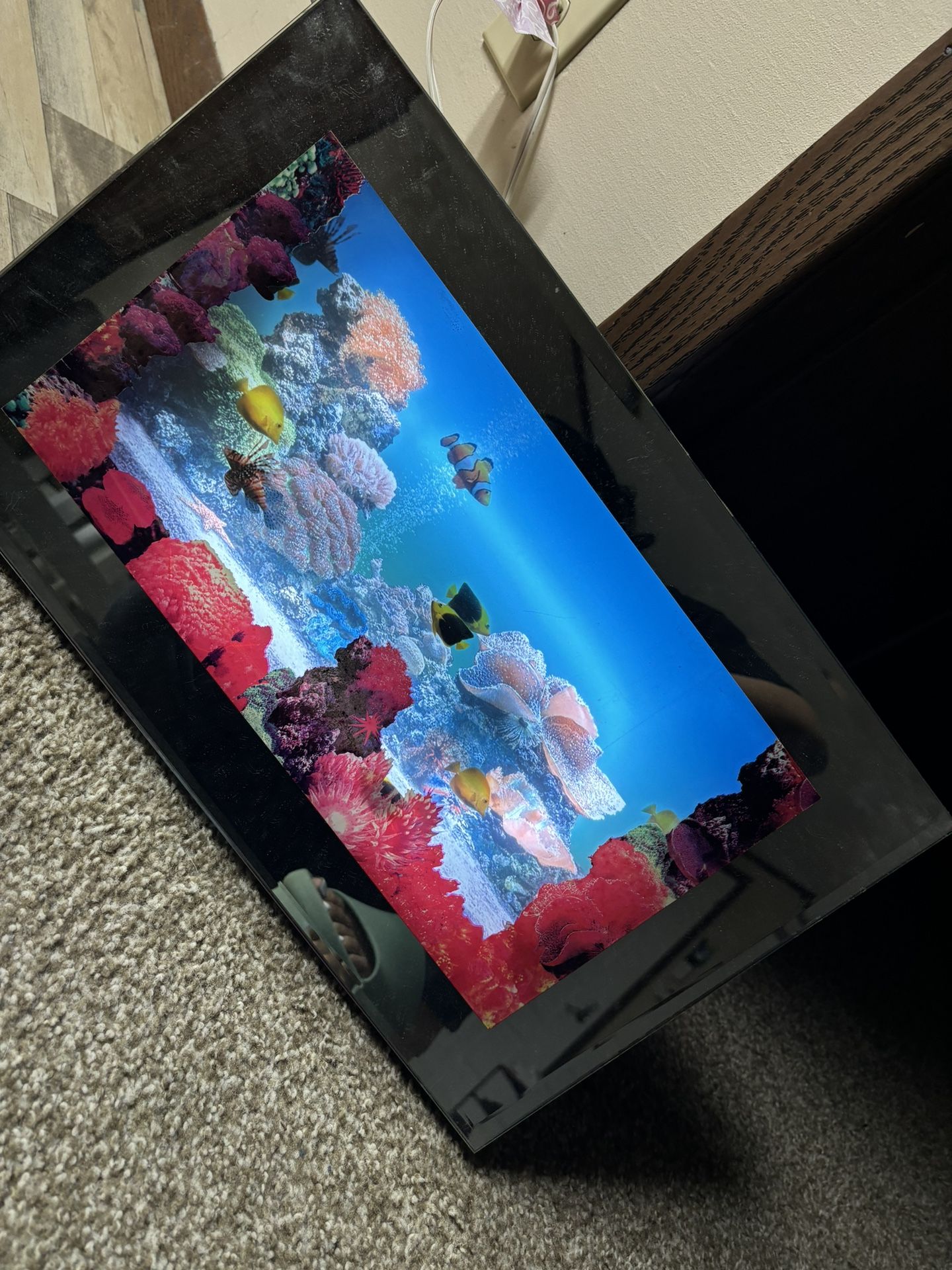 Light Up Fish Tank Decor