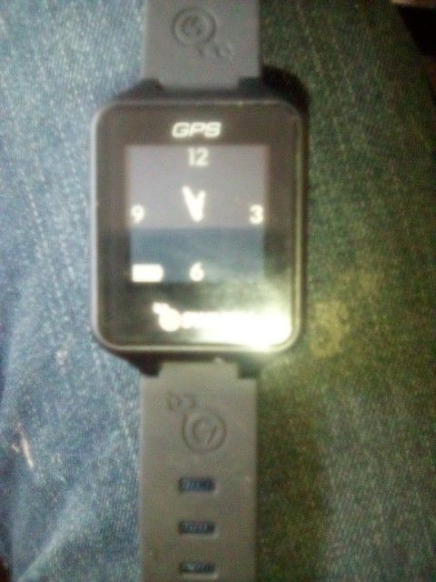 Swami Gps Range Finder Golf Watch