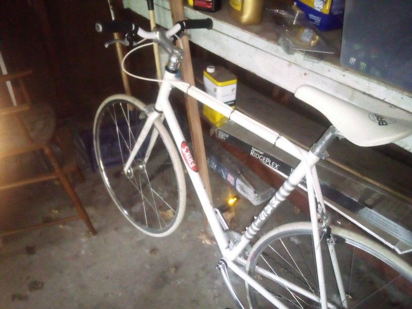Adult Masi Bike From Eric's Bike Shop
