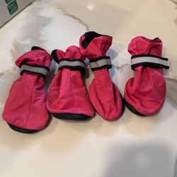 Dog Boots
