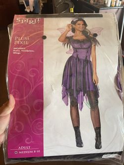 Plum Pixie Costume