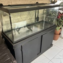 75 gal with stand And LED Lights