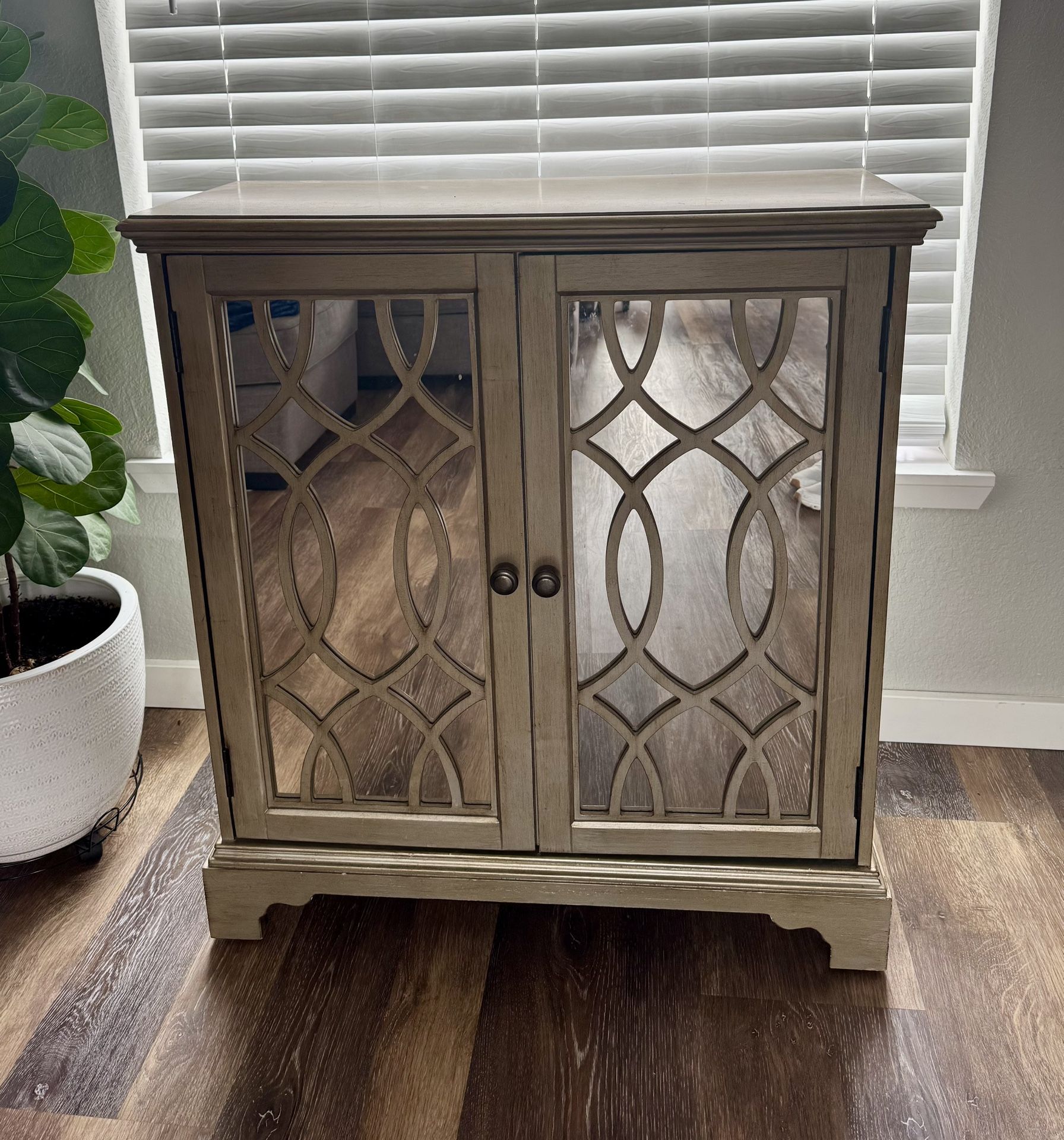 Free Standing Mirror Storage Cabinet