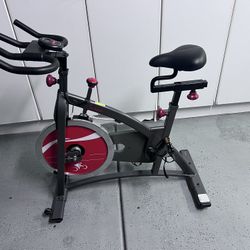 Sunny Exercise Bike