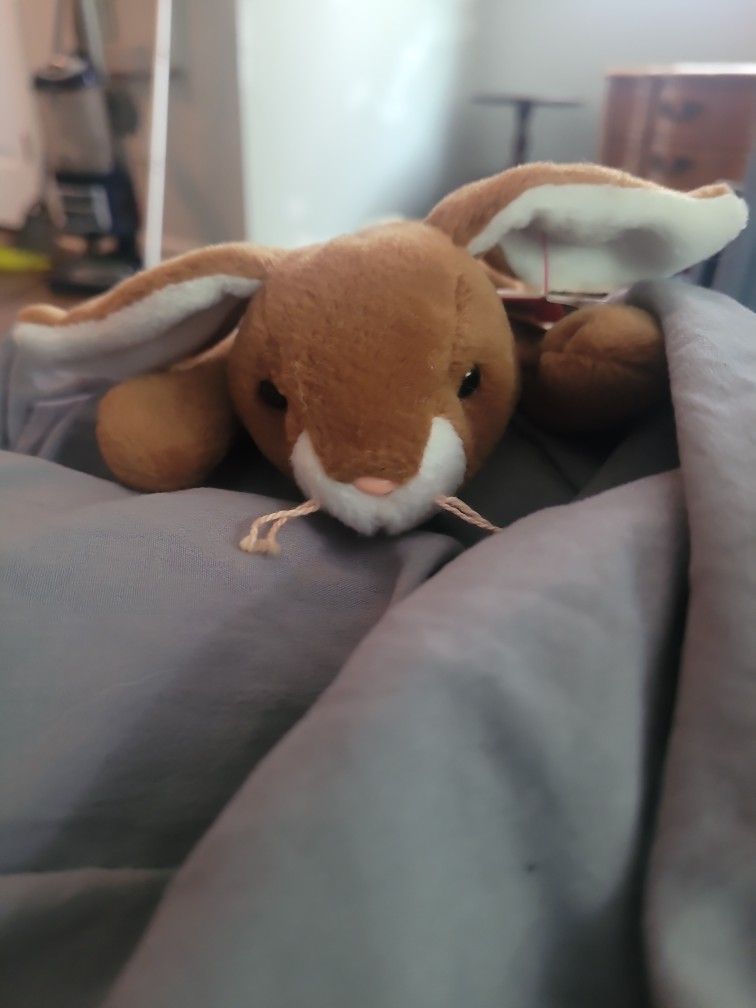 Ears The Bunny Beanie Babie