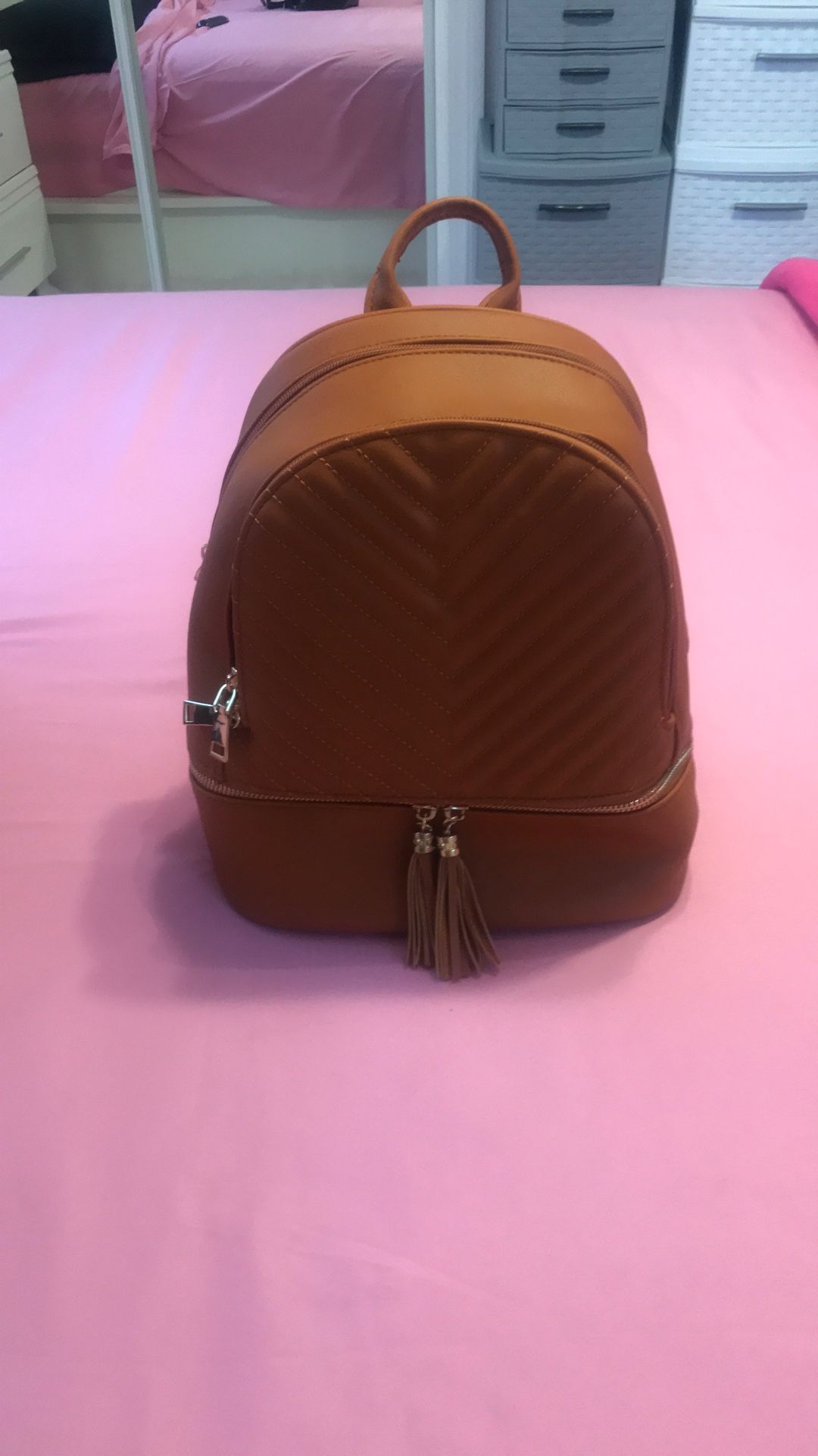 New Backpack For $30