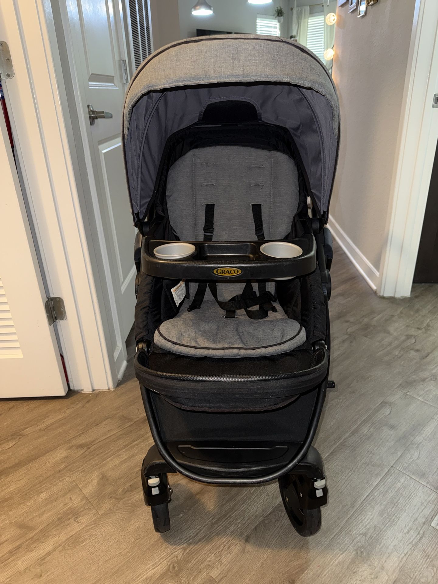 Graco Stroller and Car Seat