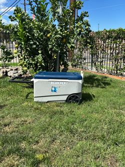 IGLOO,ICE CHEST,COOLER