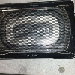Amplified 8in Subs