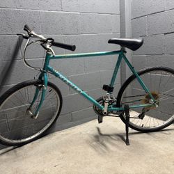 Nishiki Mountain Bike