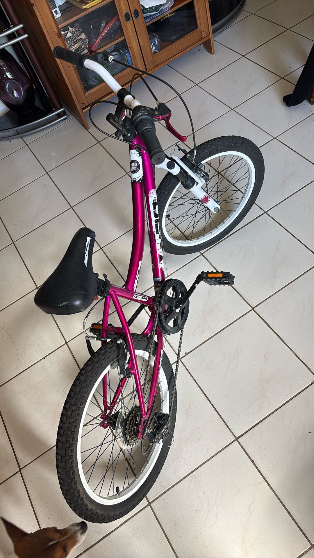 BCA MT20/ 6 Speed 20 inch bicycle like new premium shape