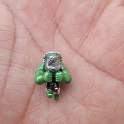 Pandora Charms (Never Usted)