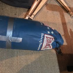 Everlast Boxing Bag 