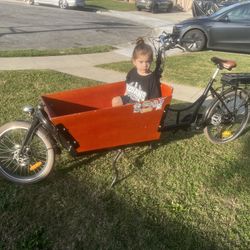 E Cargo Bike 