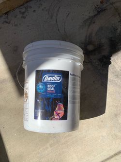 Daulin Roof Seal Silicone 5 Gallon