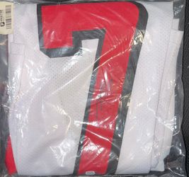 Autographed Michael Vick #7 Falcons Jersey