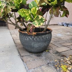 16 Inch Terracotta Pot
