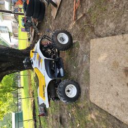2001  Polaris 250 Automatic  