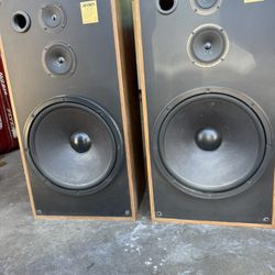 Large House Speakers      Woofers.           Vintage 
