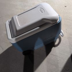 Igloo Cooler For Sale !