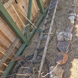 Antique wood orchard ladders