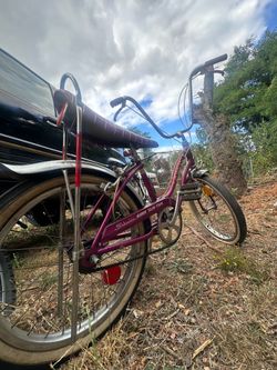 Schwinn silk chick