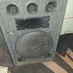 15 Inch Speakers 