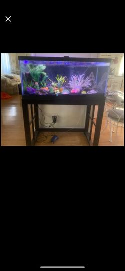 40 Gallon Aquarium With stand